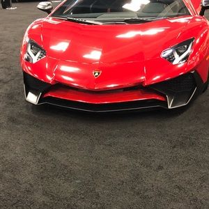 Meet your Posher, Owen